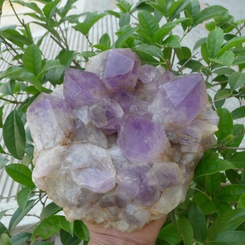 Amethyst is considered to be a stone of spirituality and contentment 4431